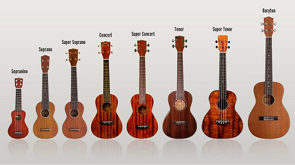 dia-chi-mua-dan-ukulele-tphcm-2