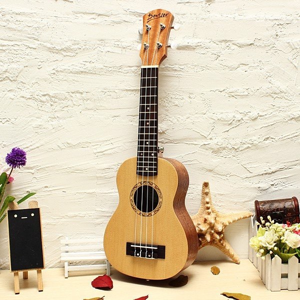 dia-chi-mua-dan-ukulele-tphcm-6