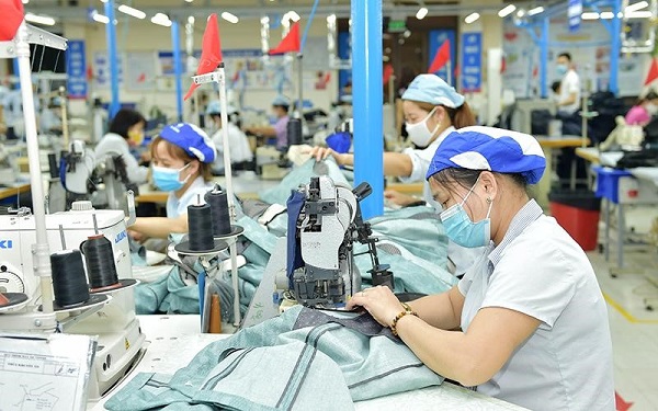 Top 8 công ty may xuất khẩu lớn hàng đầu tại Việt Nam